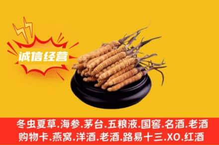 鹤岗回收冬虫夏草